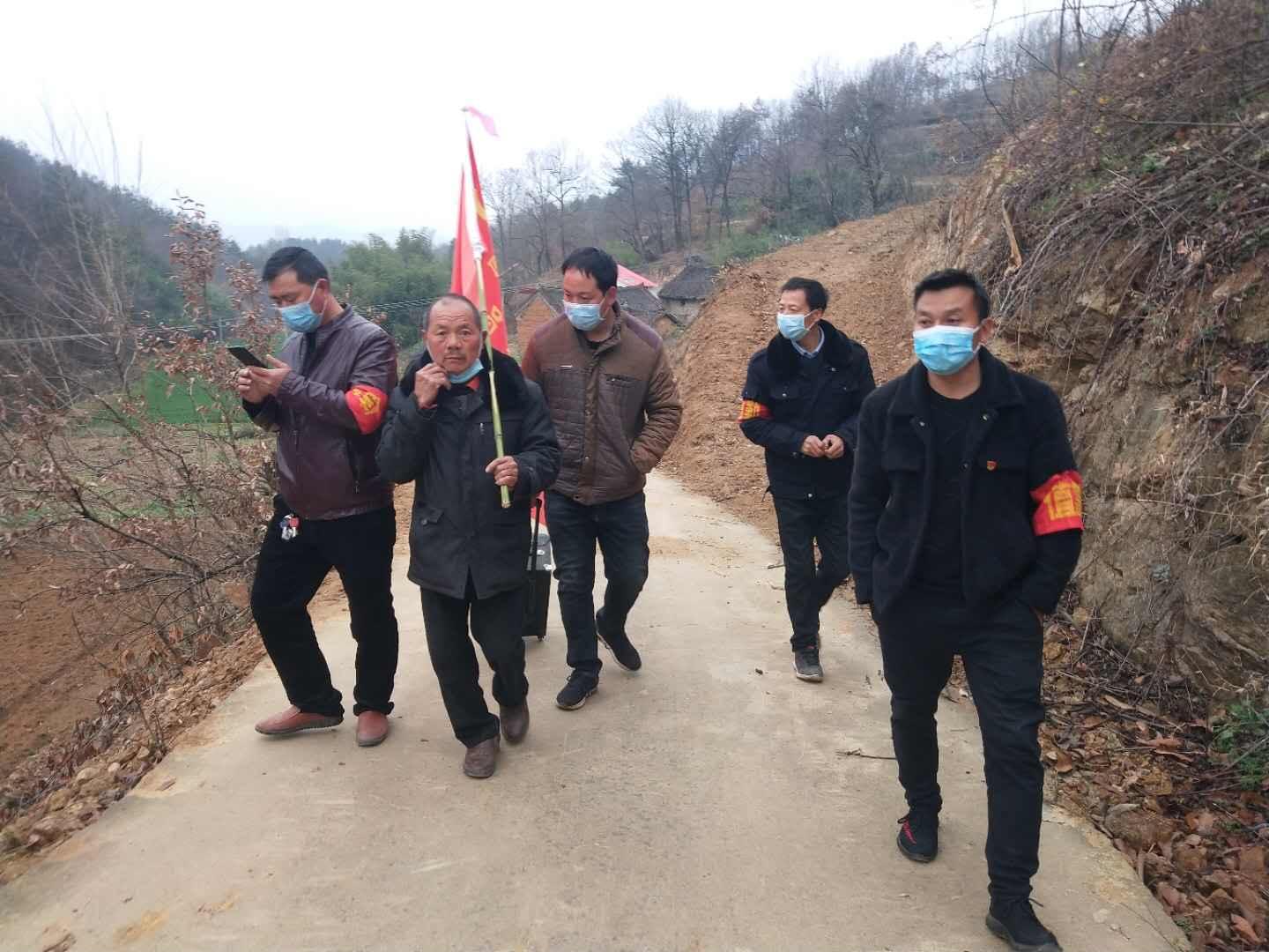 最新疫情数据查看指南，步骤解析与实时更新
